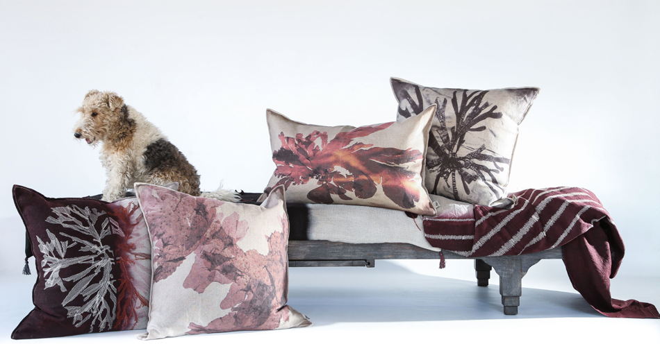 Interior design Décor Home décor Home goods Home décor stores African design Interiors Homeware Home accessories Sarza Pillows Cushions Linens Textiles Throws Evolution product Amanda du Plessis