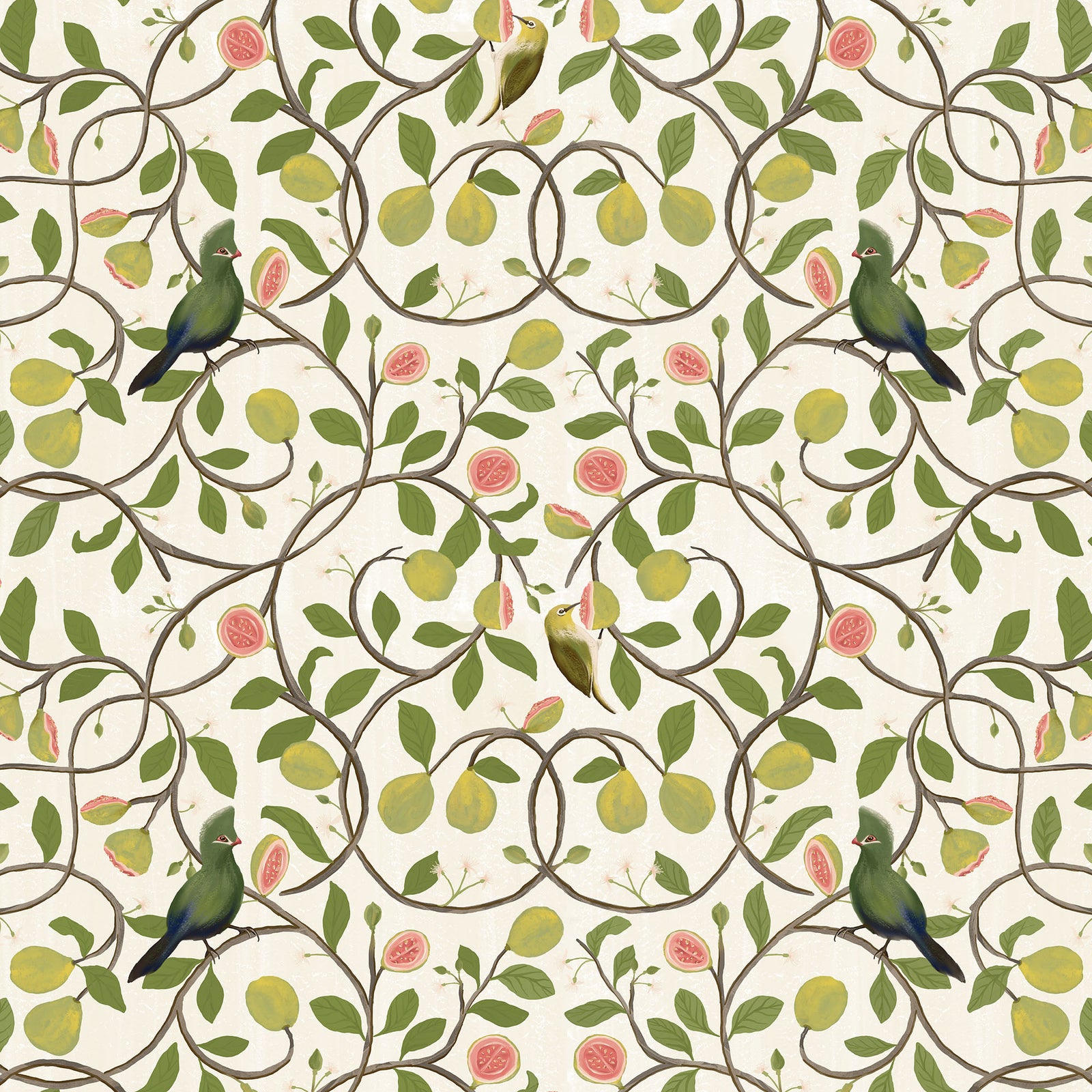 Guavas Wallpaper
