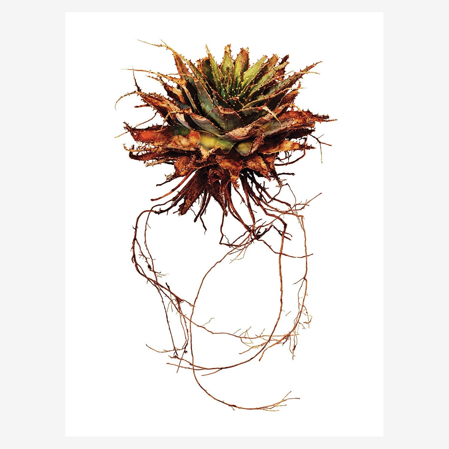 b1563a78ec59337587f6ab6397699afc%2FCB WP 10 Tensis.jpg