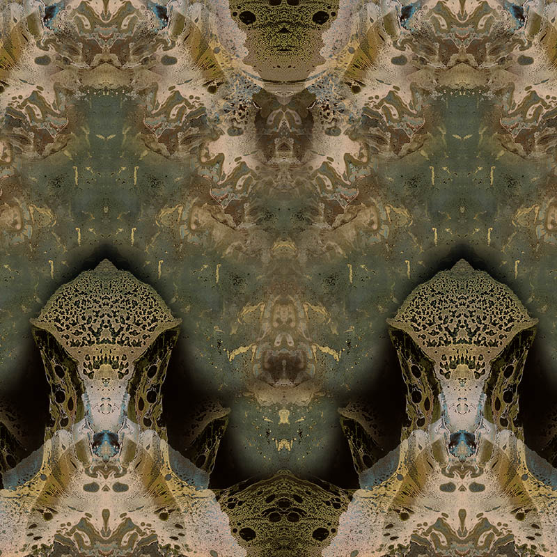 Consciousness_800x800_409add54-f3b3-4148-8a86-f0bef74edd15.jpg