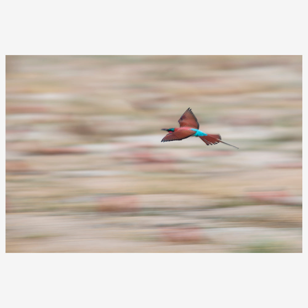 Flight.jpg