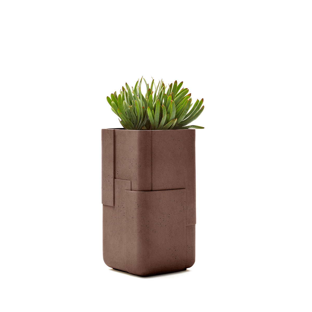 Aarde planter