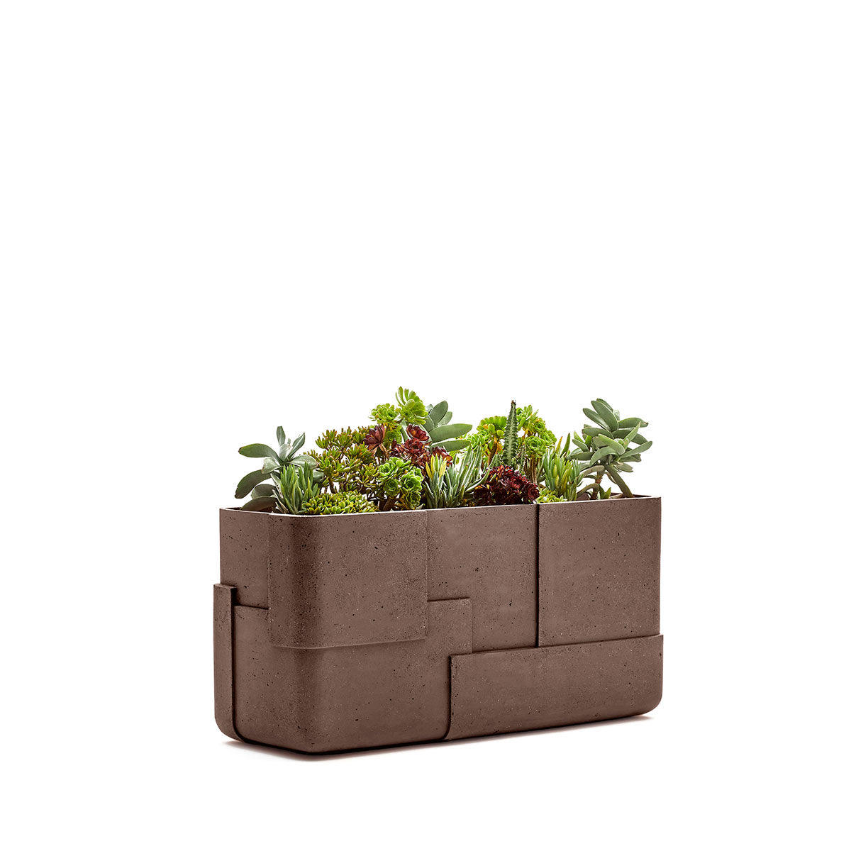 Aarde planter