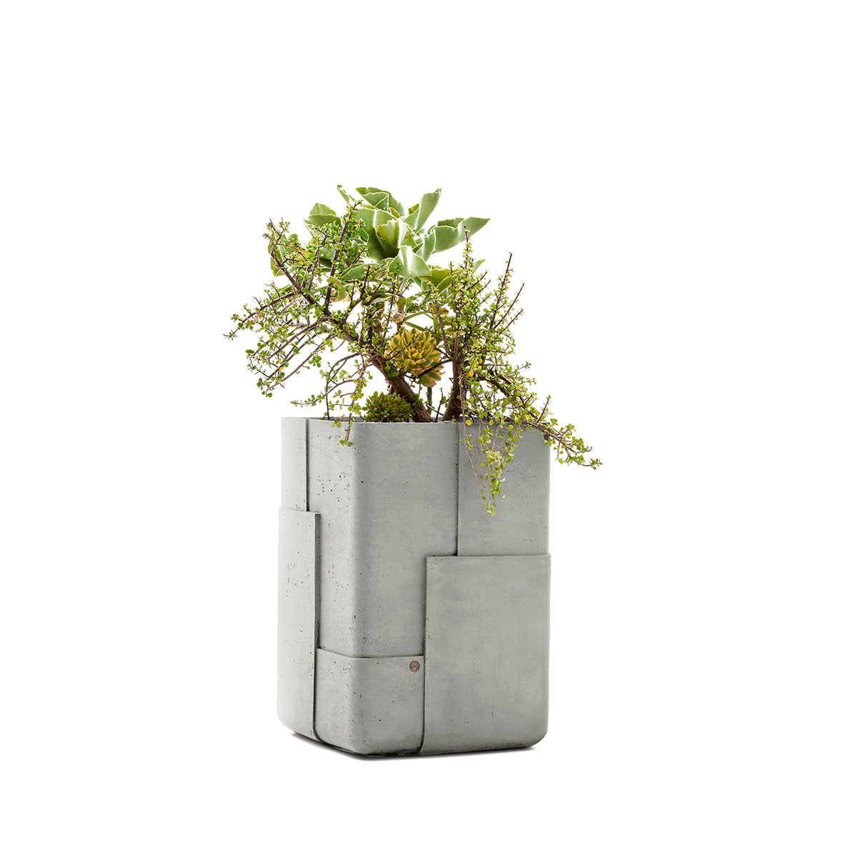 Aarde planter