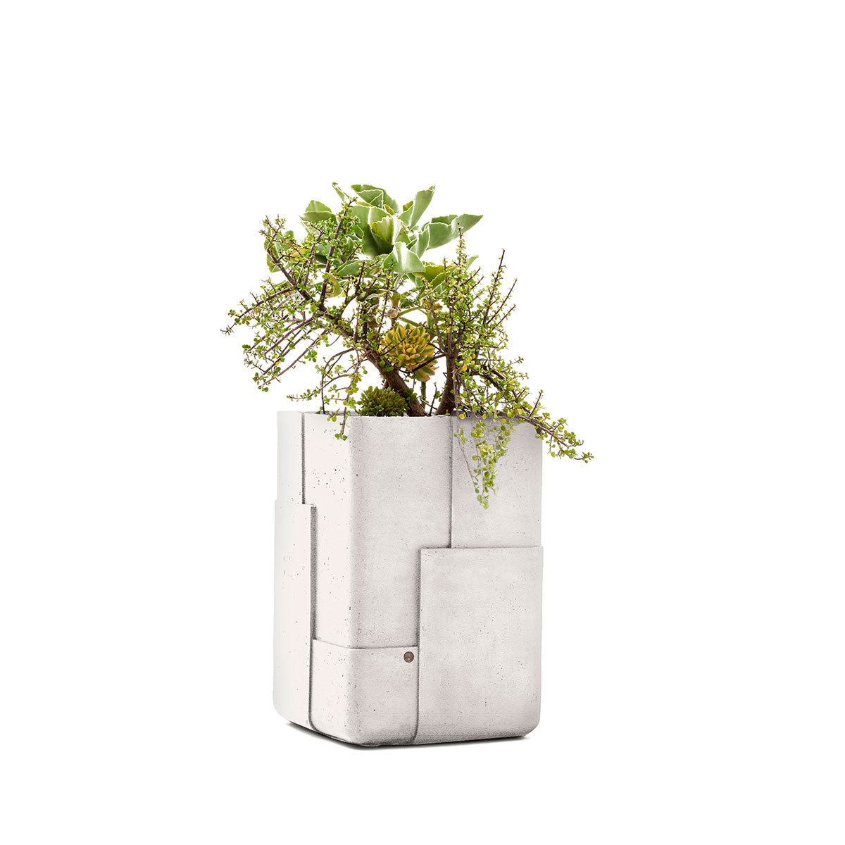 Aarde planter