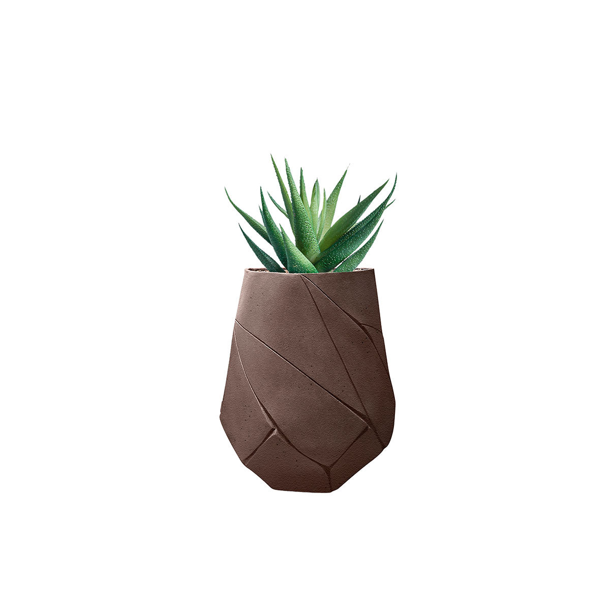 Bhaca Planter