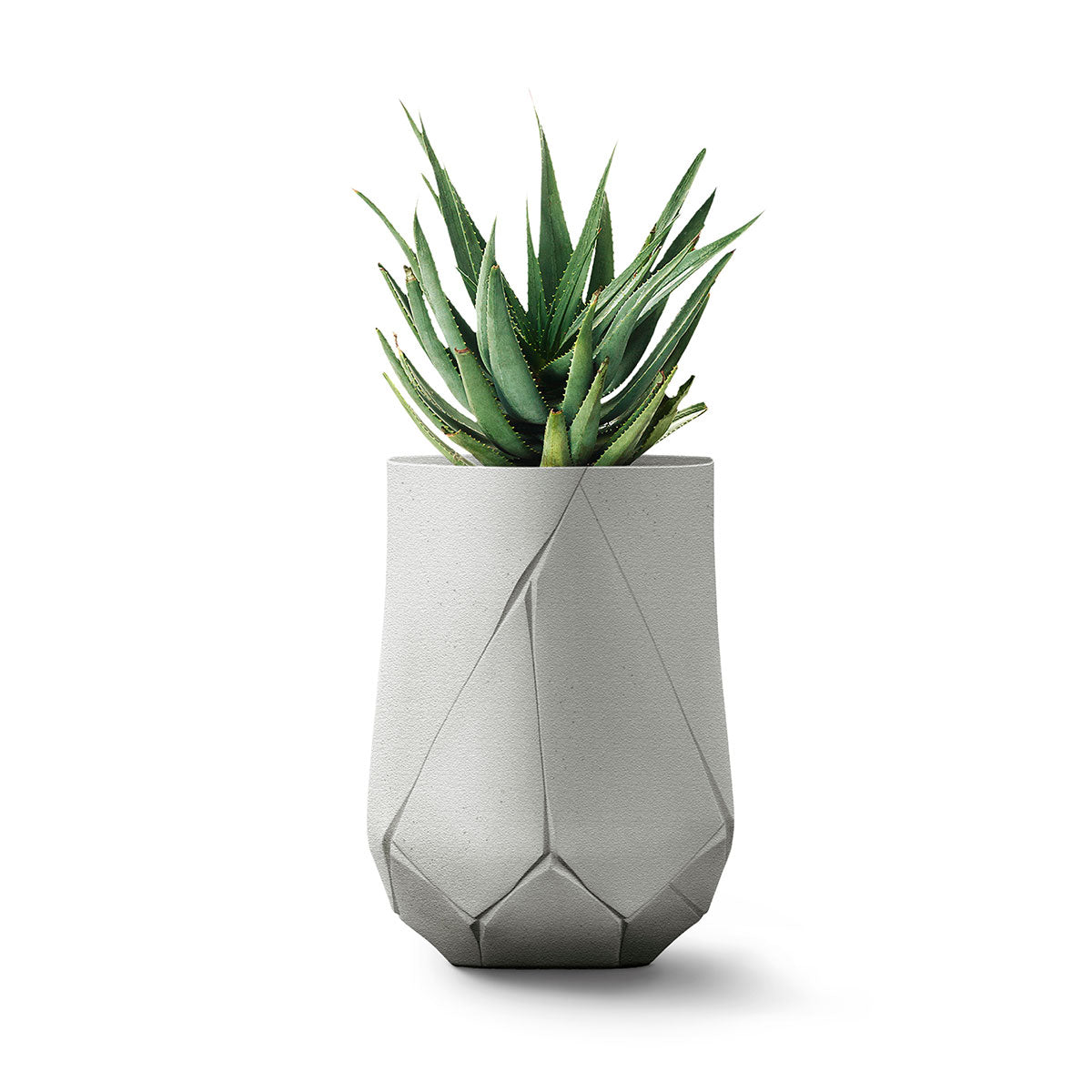Bhaca Planter