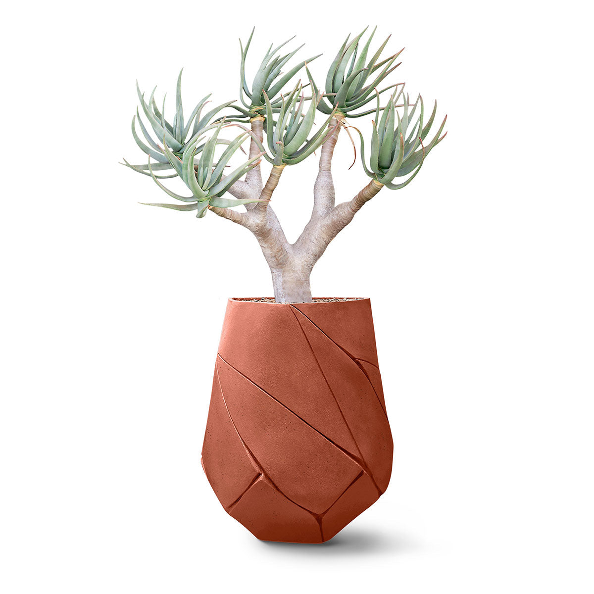 Indigenus_Bhaca_Terracotta_Medium_be571390-fcf6-4c43-ab22-002ac970b915.jpg