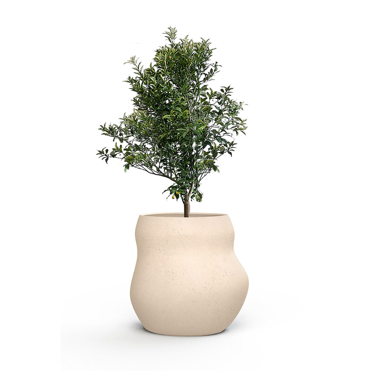 Indigenus_Pebble_Sandstone_Midi.jpg