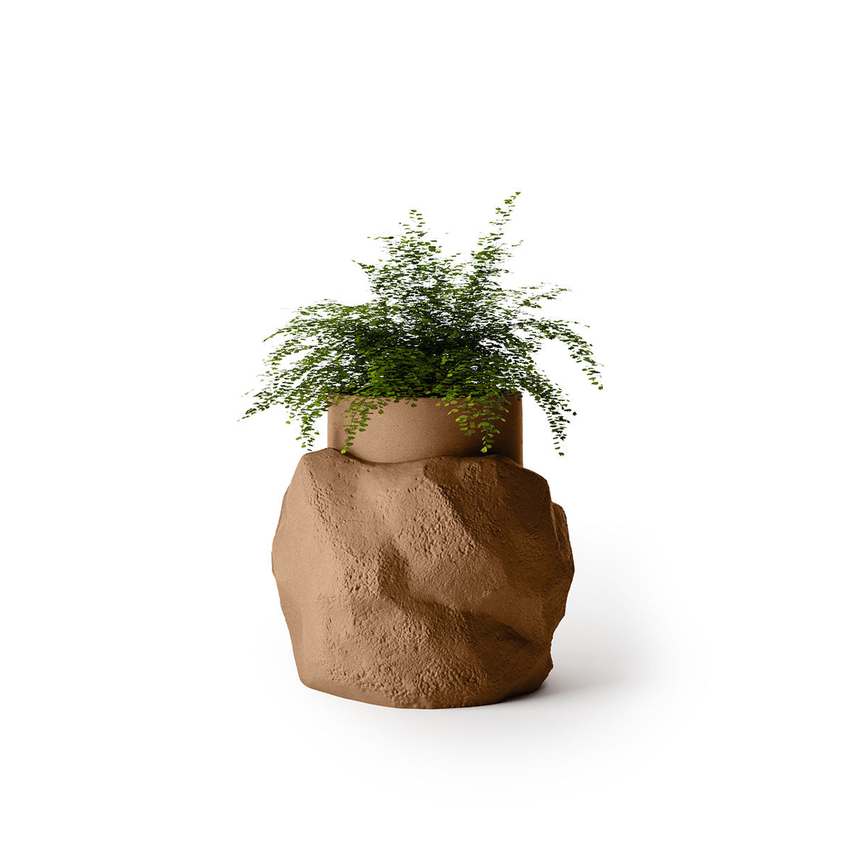 Indigenus_Petra_Nutmeg_Medium.jpg