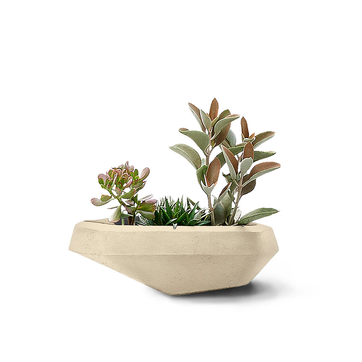 Steen Planter
