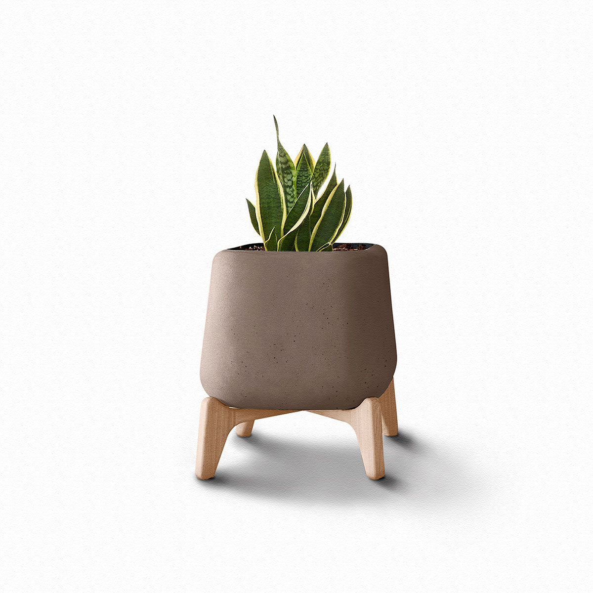 Terra Planter