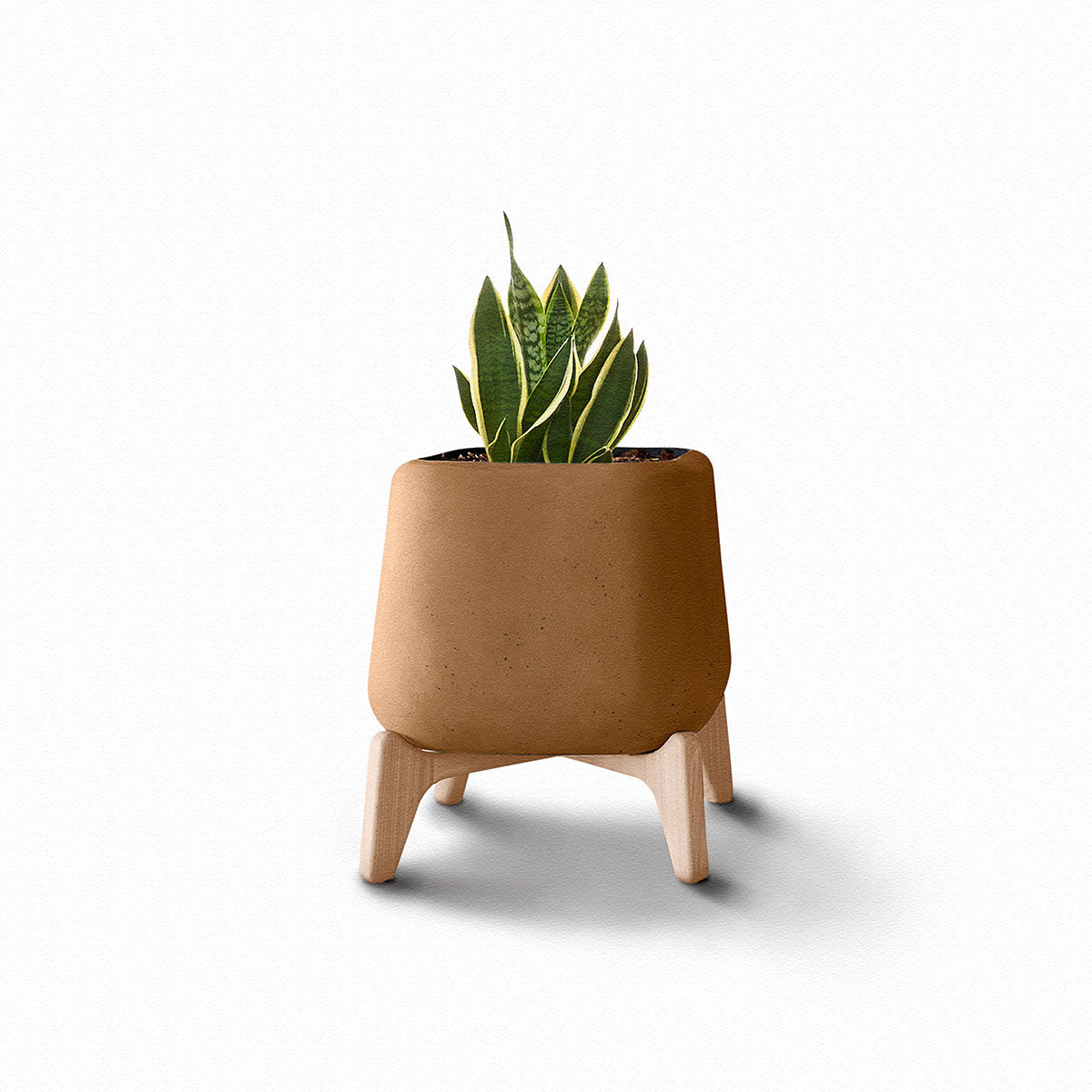 Terra Planter