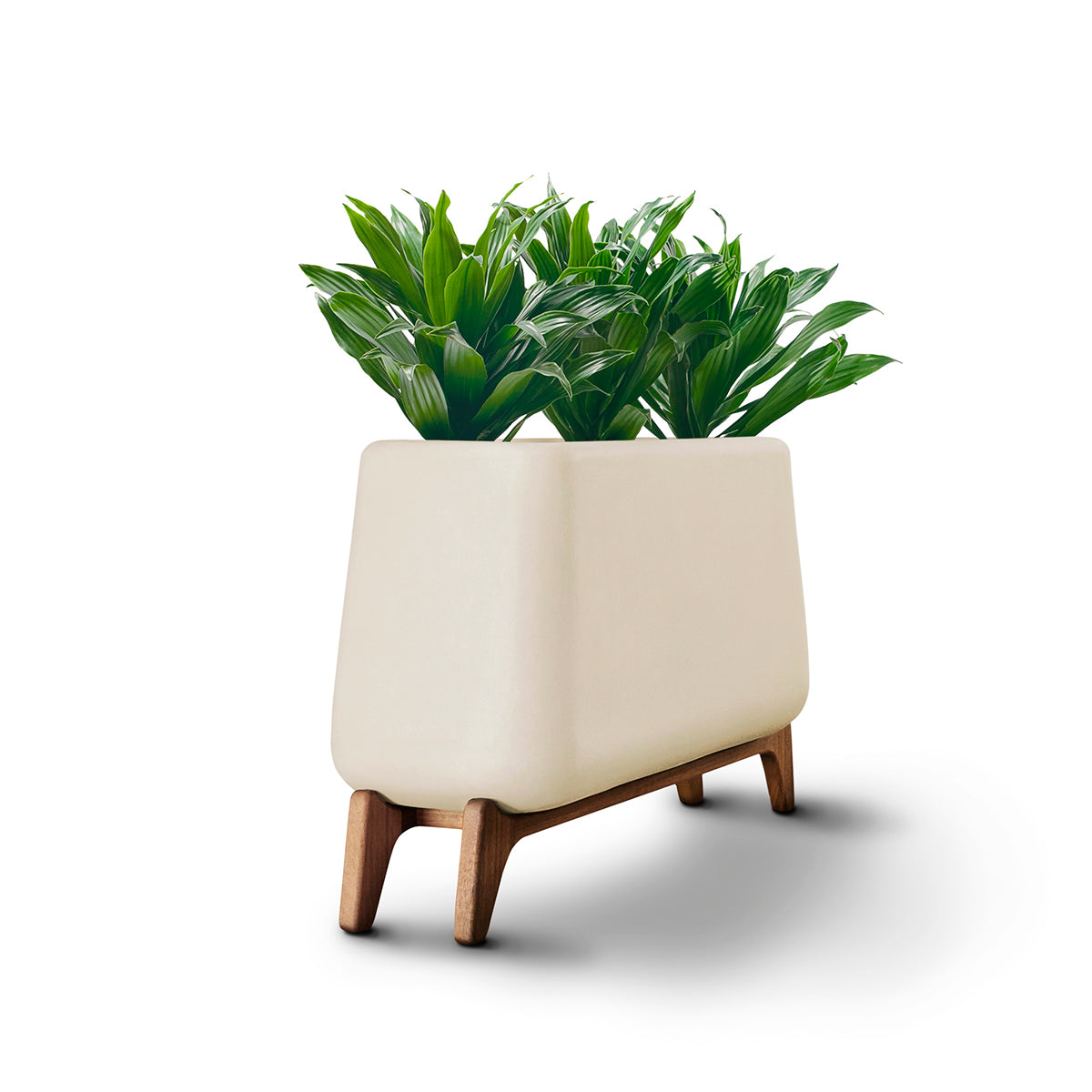 Terra Planter