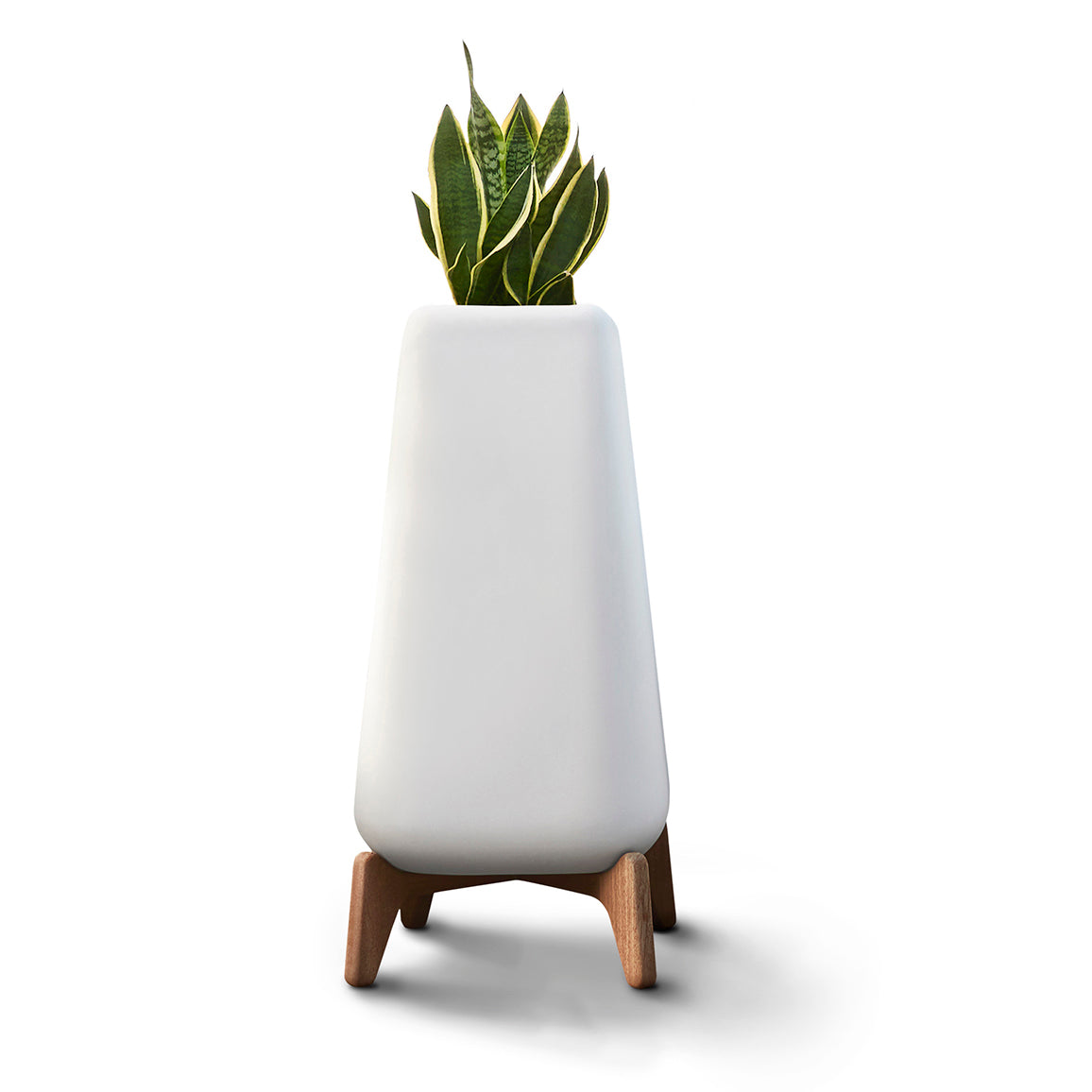 Terra Planter