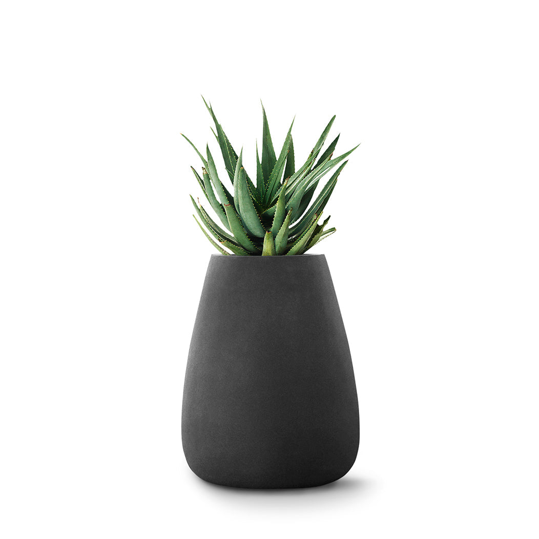 Indigenus_Tuber_Black_Medium_e1a44900-0741-4f9b-bd95-2fdb112f43fc.jpg