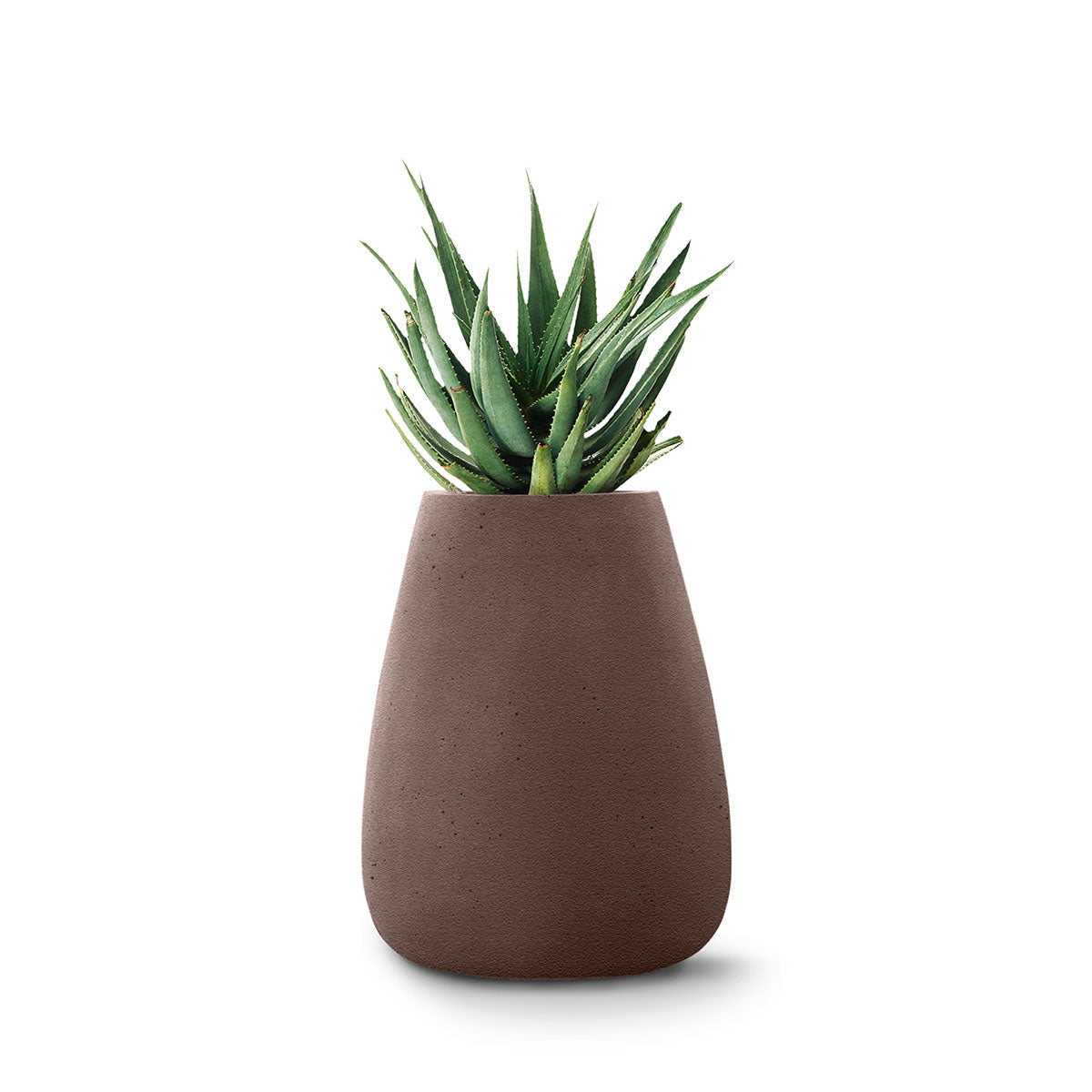 Indigenus_Tuber_Brown_Medium_80f53ea2-e099-4970-a553-0b588c71e132.jpg