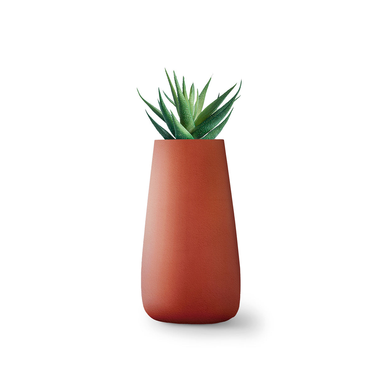 Indigenus_Tuber_Terracotta_Large_de2cc64f-92fb-4a74-9766-13263b8e3271.jpg