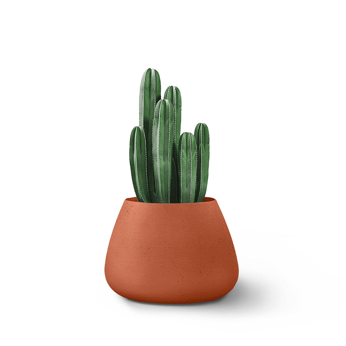 Indigenus_Tuber_Terracotta_Small_918b36c7-882c-4e4c-8410-b58cc9be21d2.jpg