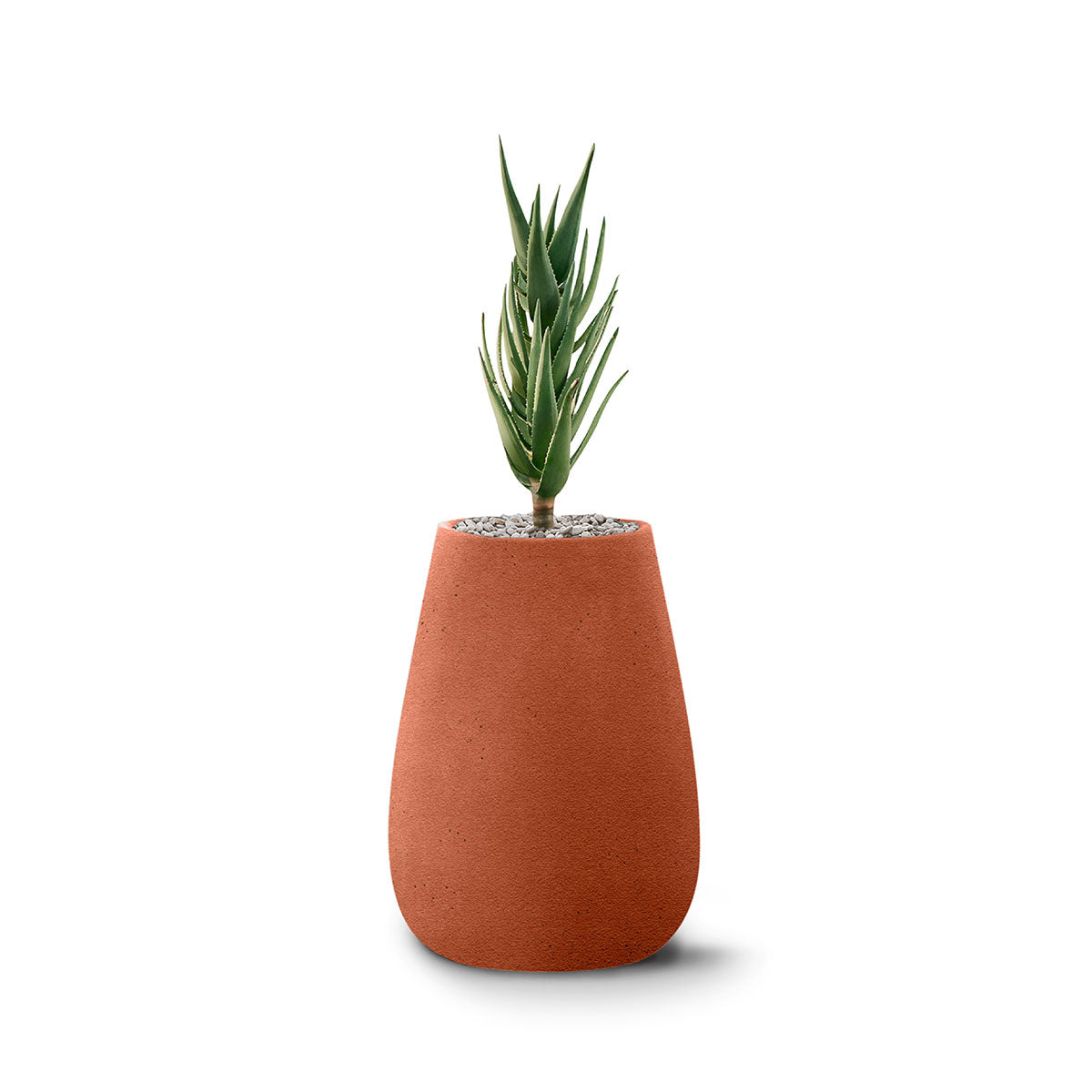 Indigenus_Tuber_Terracotta_XSmall.jpg