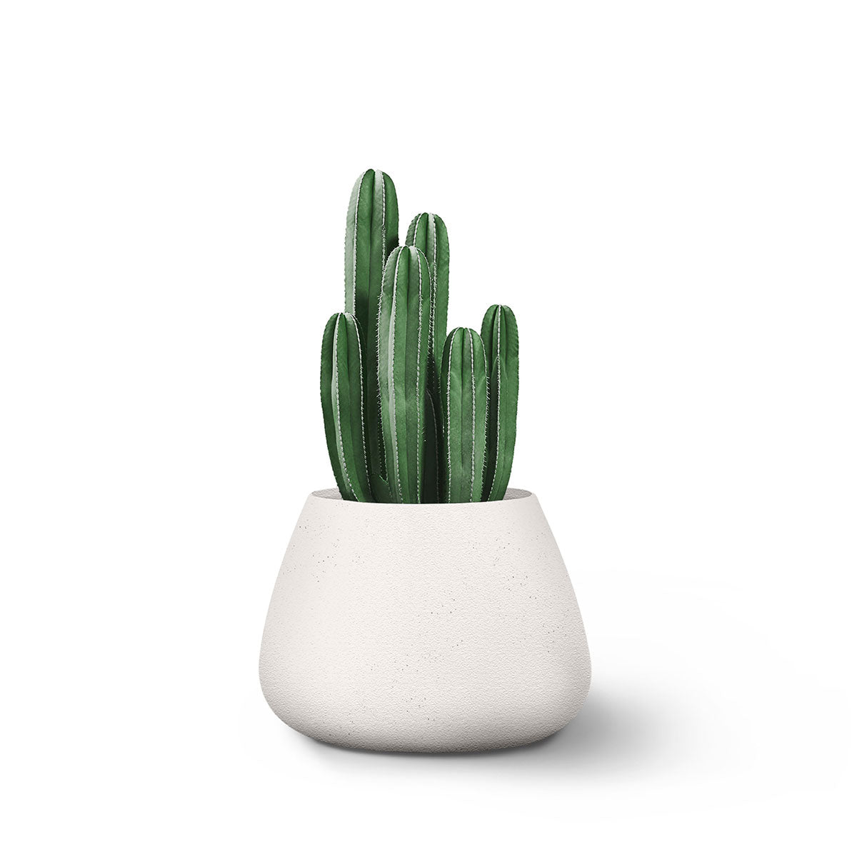Indigenus_Tuber_White_Small_6fe505b6-b6f6-4d2b-880b-87beb24df02a.jpg