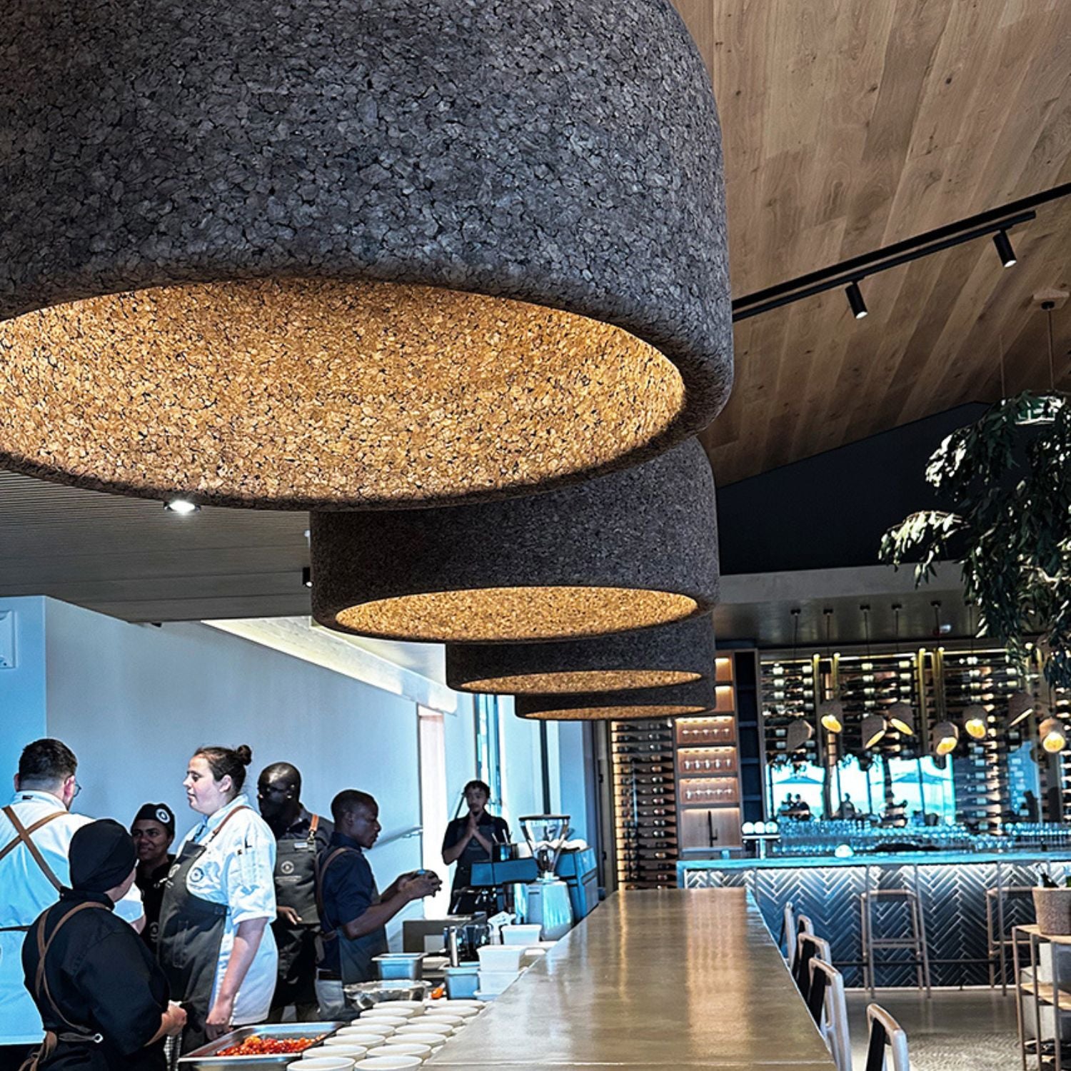 Large_dark_cork_pendant_suspended_2.jpg