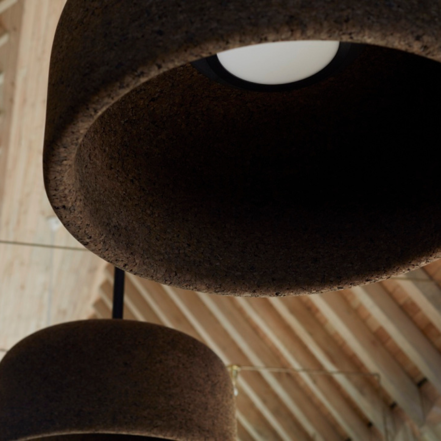 Large_dark_cork_pendant_suspended_3.png