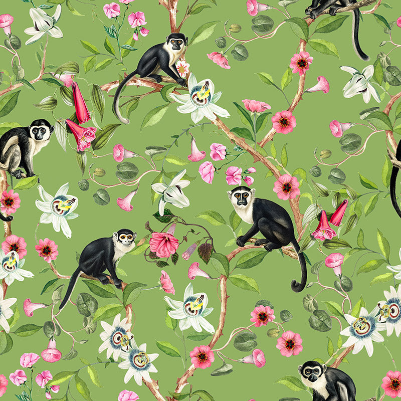 Monkeys and Lotus Flowers – Avocado Wallpaper