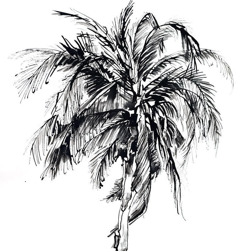 Phoenix Palm Wallpaper