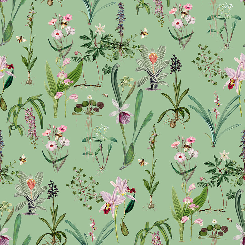 Pink Blush – Green Wallpaper