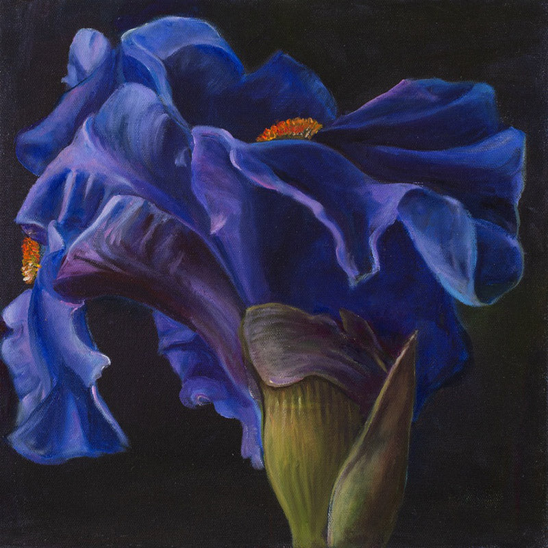 Purple Velvet Mural Wallpaper