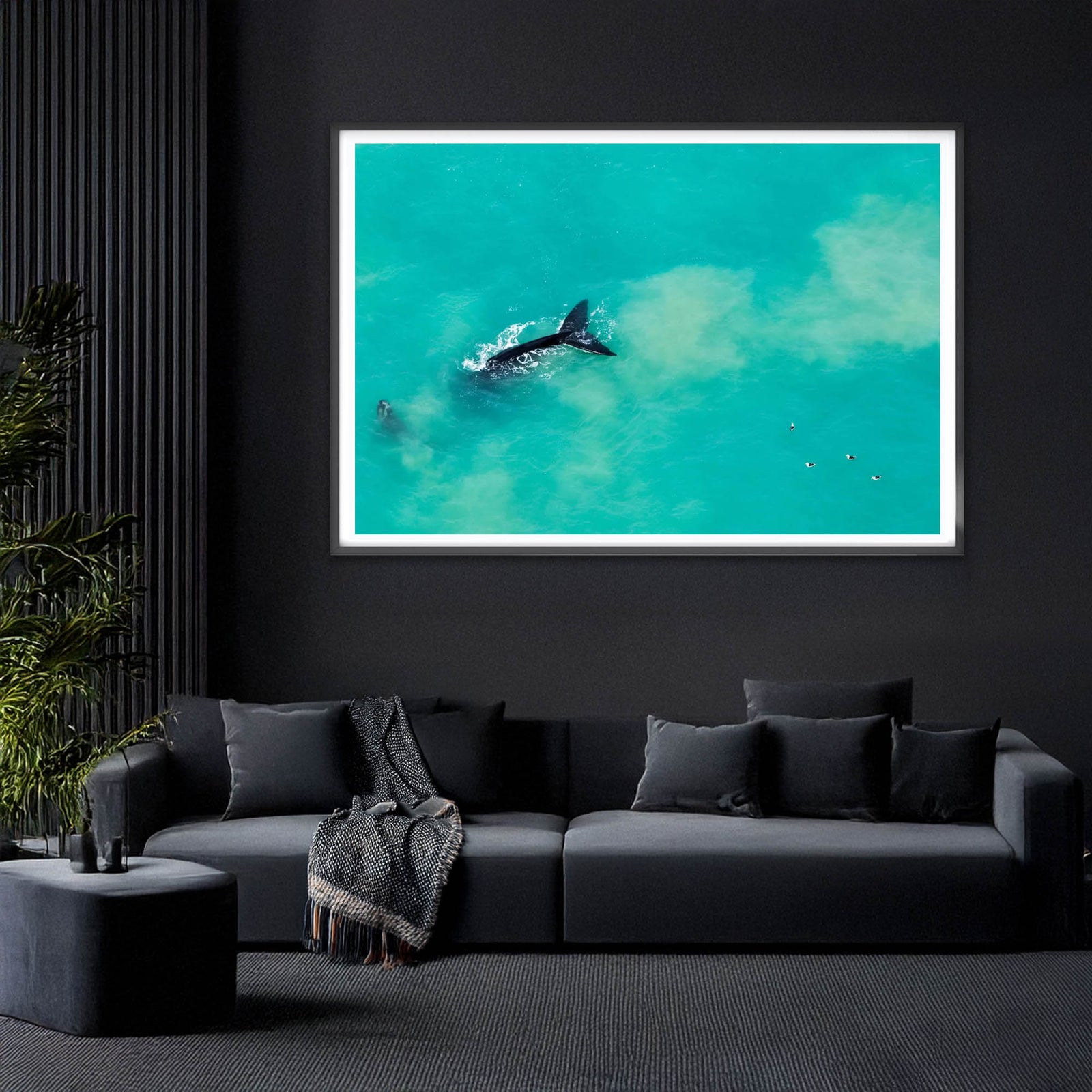 Southern Right Whales 2