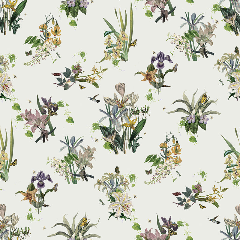 Tiger Lily Wallpaper