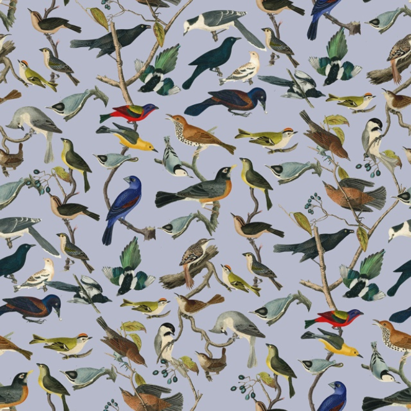 Birds of Paradise Wallpaper