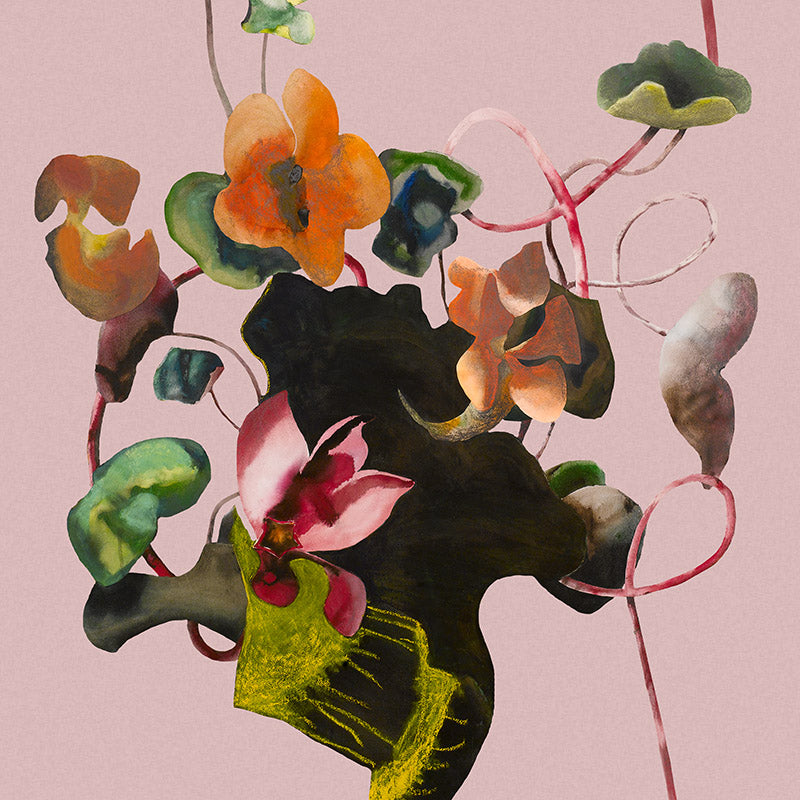 pink.twistinging-cyclamen_800x800_618414eb-01c5-46e3-96e3-75e7a63b4eb1.jpg