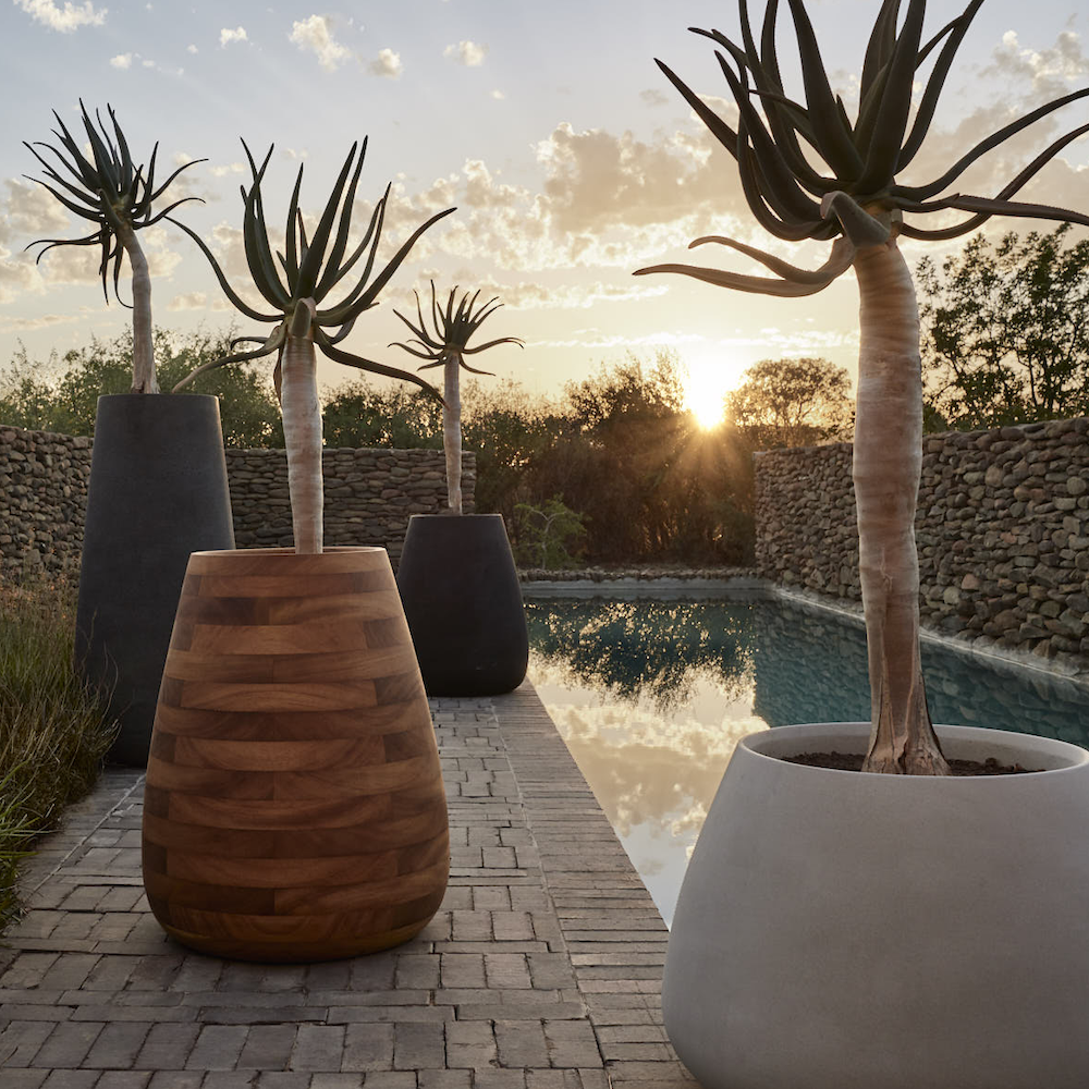 tuber_20karoo_20_c9a14264-7b1e-4780-b072-f873ea1b83ea.png