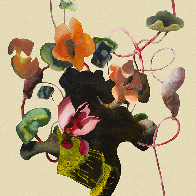 yellow.twistinging-cyclamen_800x800_d4d334ee-52ed-42e0-b969-5b4338660146.jpg