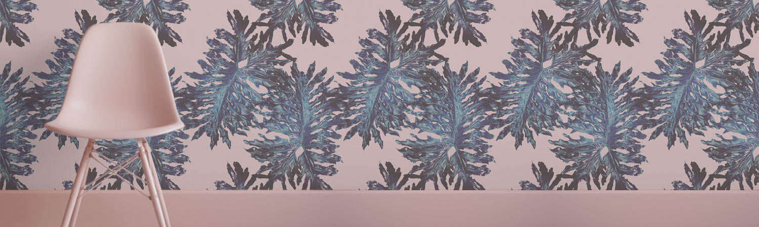 Clinton Friedman Wallpaper