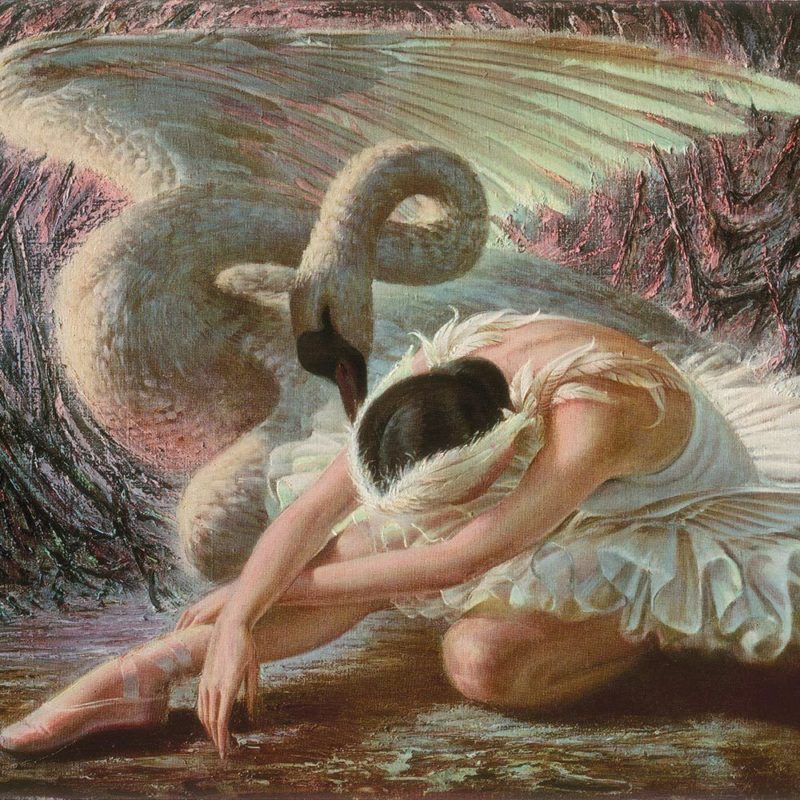 08Dying-Swan-e1468591262332.jpg