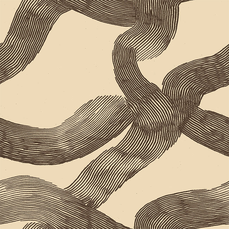 Soma Cacao wallpaper