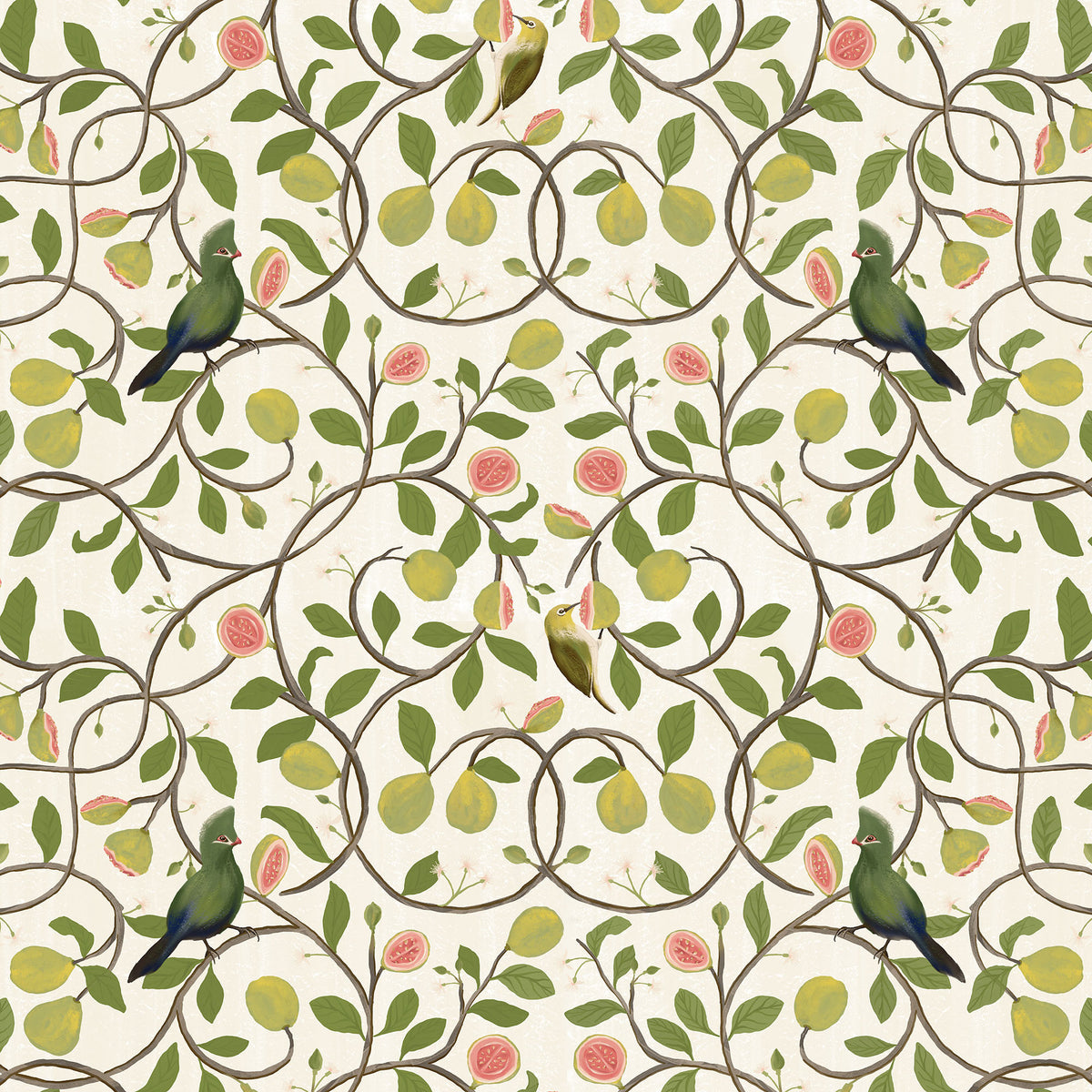 Guavas Wallpaper