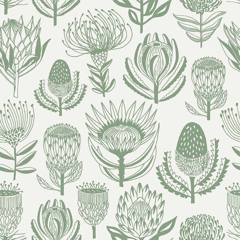 Floral Kingdom- Sage on White Wallpaper