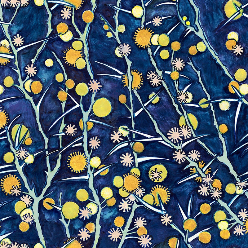 Acacia-Colour-Flat-Image.webp