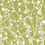 Acacia-chartreuse-Flat-Image.webp