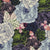 AdrienneKerr_BloomBloom_06.jpg