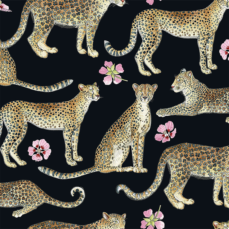 African Wild Cats on Black wallpaper