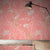 Alcea-Rosa-by-Patricia-Braune_insitu.jpg