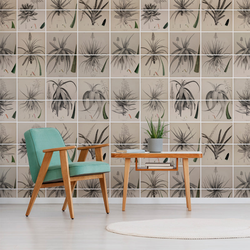 Aloes-Insitu.jpg