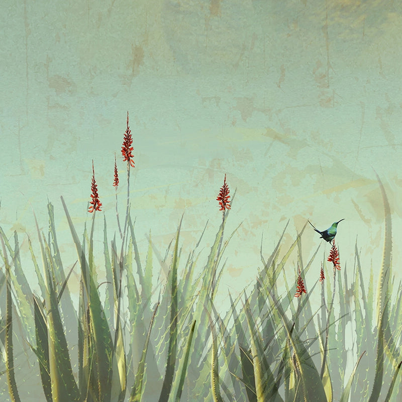 Aloes-with-Malachite-Sunbird-by-Louisa-Gerryts.webp