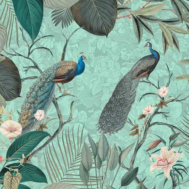 Andrea-Haas_800x800_The-Peacock-Jungle_Tropical.jpg